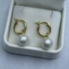 6-7mm White Round Freshwater Pearl Earrings