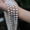 Super Long Fashion Natural Freshwater Pearl Necklace in GIft Box